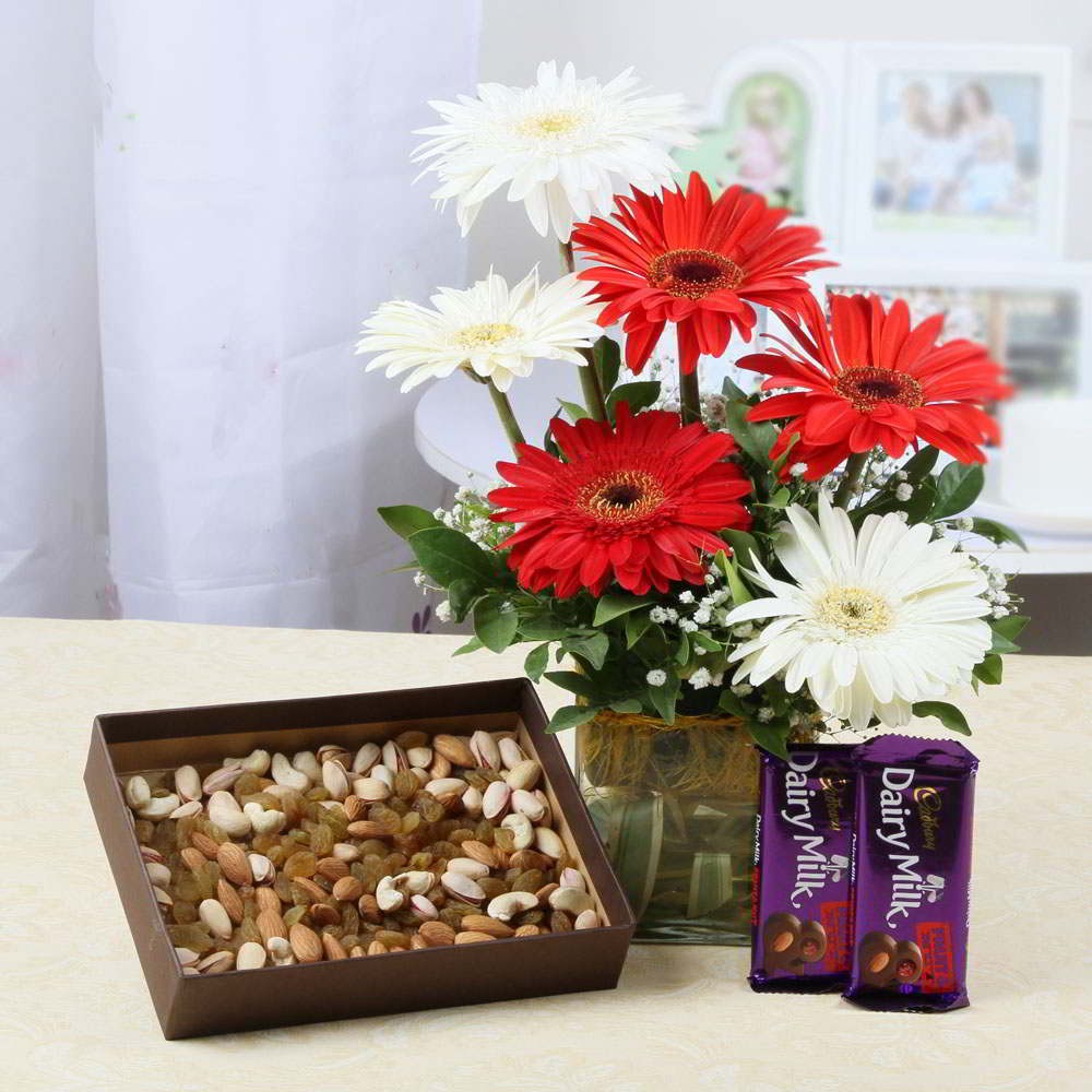 Gerberas Vase and Mix Dry Fruits with Dairy Milk Chocolates